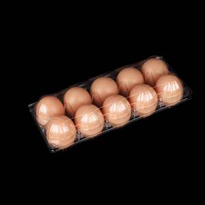 HSQY Cartones de huevos de plástico transparente de 10 unidades