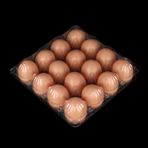 Cartones de huevos de plástico transparente HSQY de 16 unidades