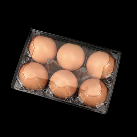 Cartones de huevos de plástico transparente HSQY de 6 unidades