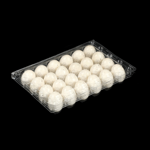 HSQY Caja de cartón para huevos de codorniz de plástico transparente de 24 unidades
