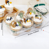 HSQY 1 2 4 6 12 24 recipientes desechables para cupcakes de plástico transparente
