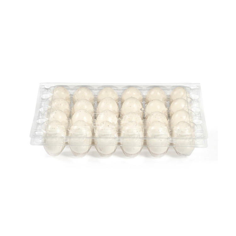 HSQY Caja de cartón para huevos de codorniz de plástico transparente de 24 unidades